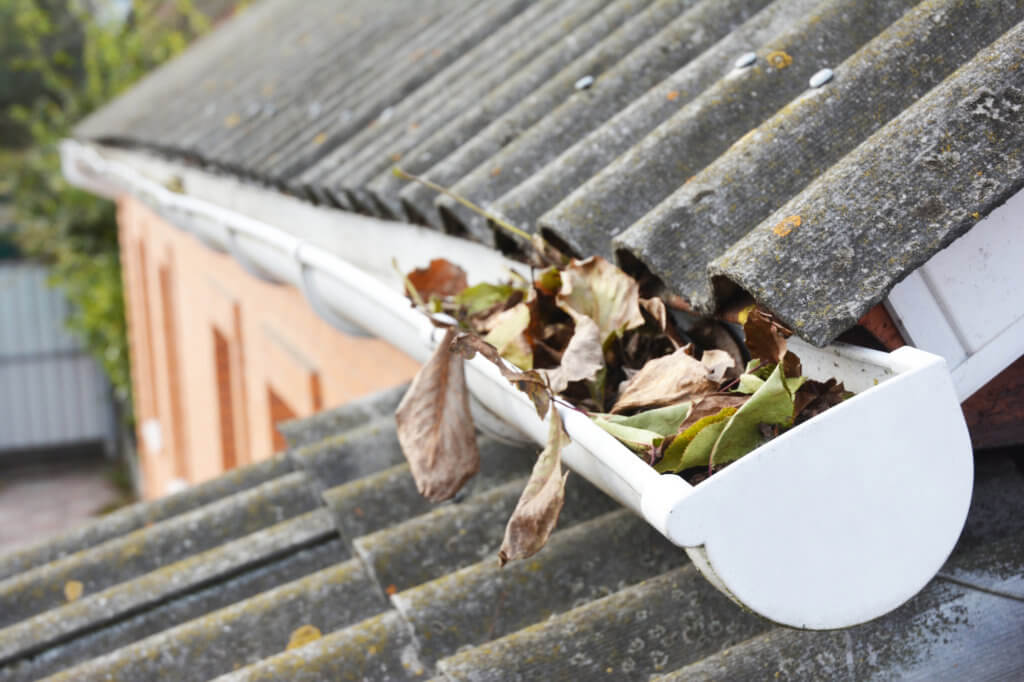 Fall Cleanup and Roof Maintenance Tips