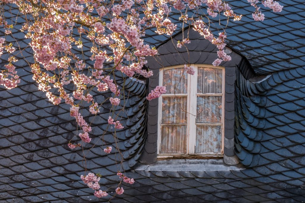 Spring Roof Maintenance