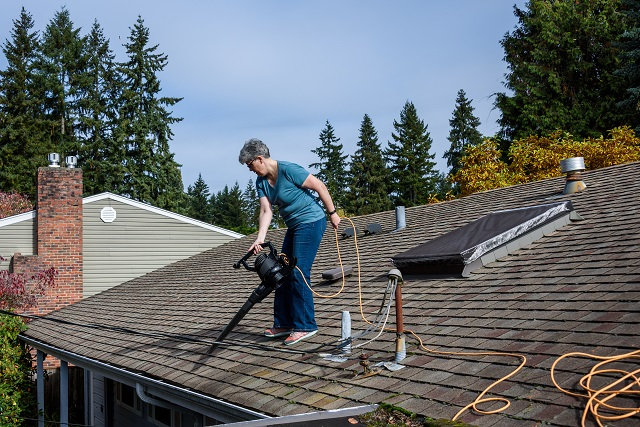 Person on a roof using a leaf blower to clean roof shingles and gutters 