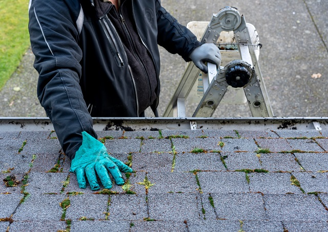 Person on a ladder next to a mossy roof with gloves on