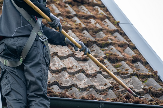 Roofing professional cleaning moss of a roof