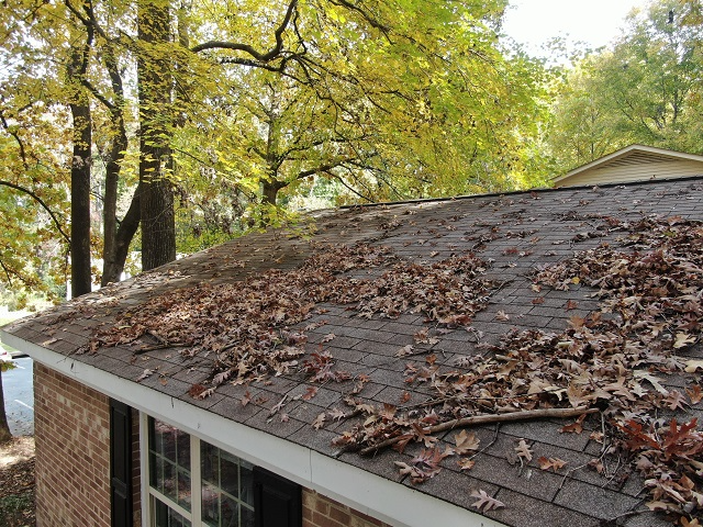 Fall leaves, twigs, and small branches on a roof