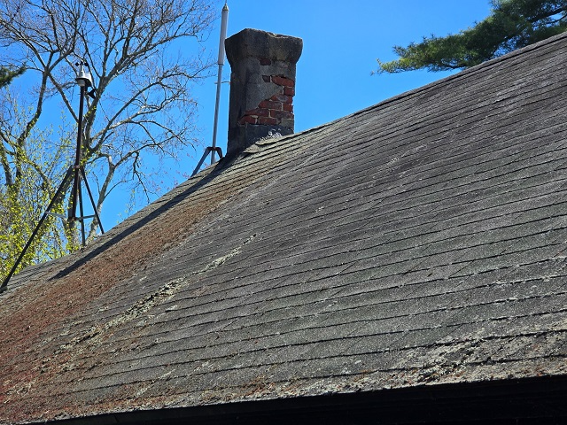 Closeup of a dirty, debris-covered roof