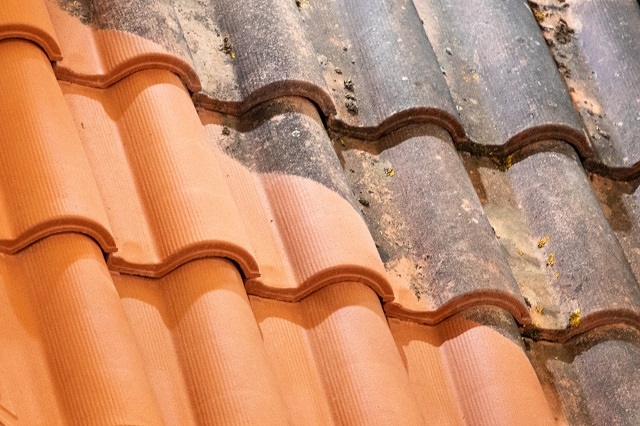 Closeup of a tile roof showing the stark contrast between cleaned and uncleaned roof portions