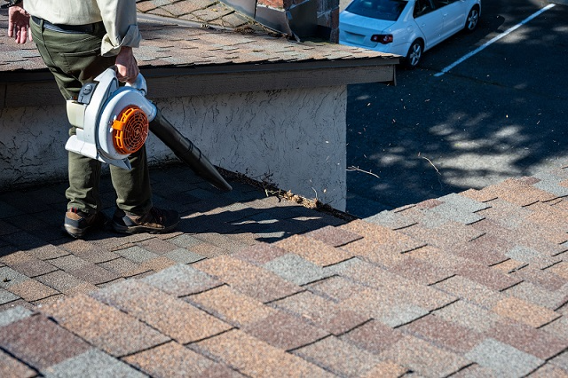 Using a leaf blower to remove debris from a roof before a roof cleaning